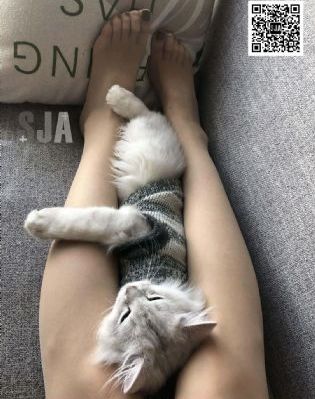 色5月婷婷丁香六月_DVD免费观看超清